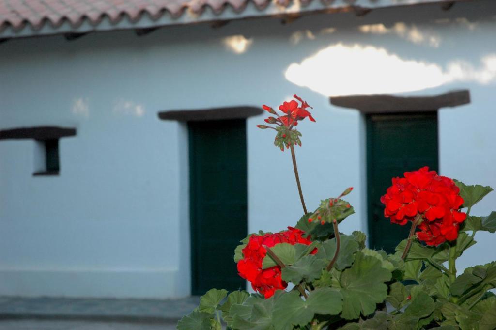 Hacienda De Molinos Hotel Rum bild